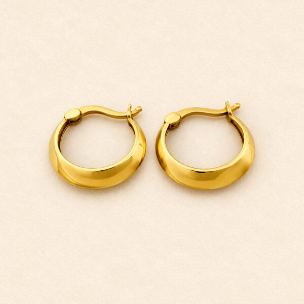 Hoop Earrings